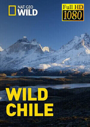 Wild Chile 1×01 al 1×03 [1080p]